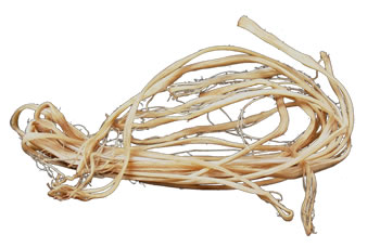 Sinew