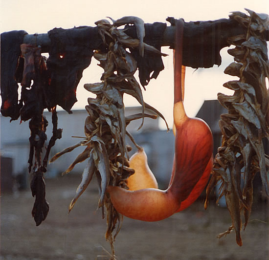 Stomach Drying