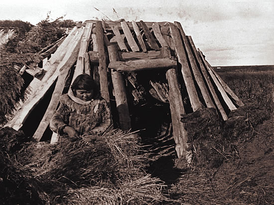 Sod House Covering