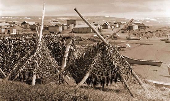 Braided Herring Drying