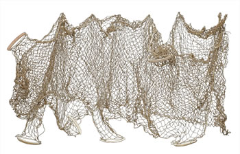 Sinew Net