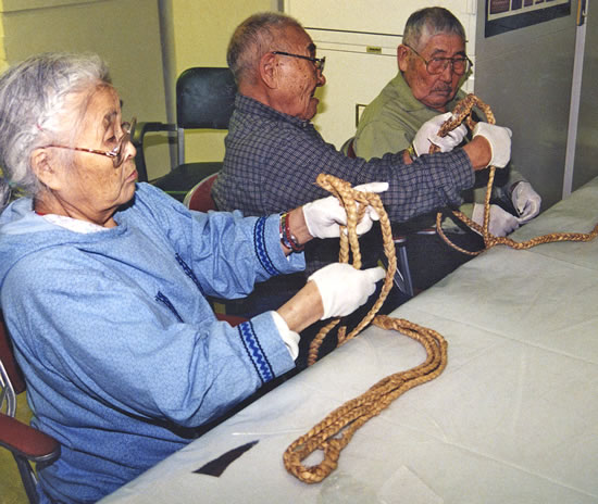 Examining Dog Harness