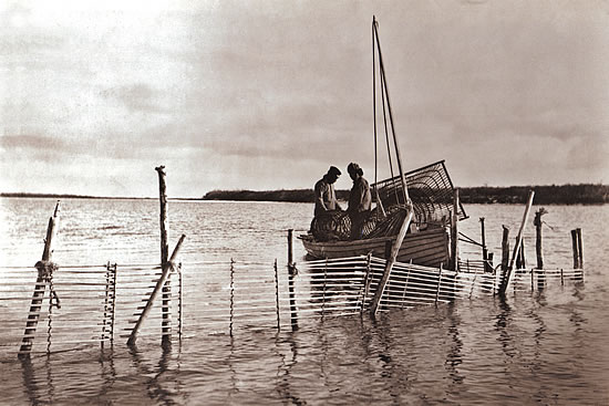 Setting Large Fish Trap